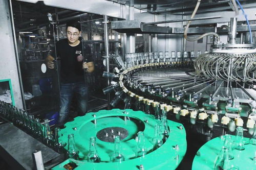 奉賢三寶煥新篇 火山荔枝、黃桃與桂花酒釀的汽水電商之旅